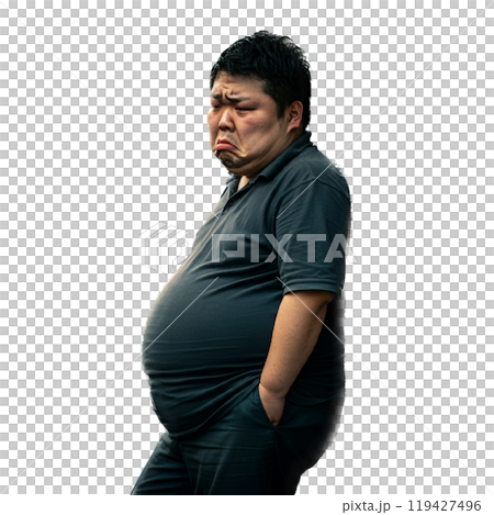 太った男性 119427496