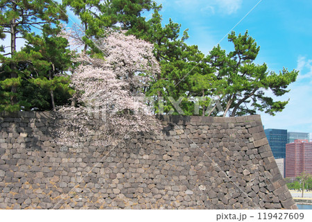 皇居に咲く満開の桜(2022年3月) 皇居に咲く満開の桜(2022年3月) 119427609