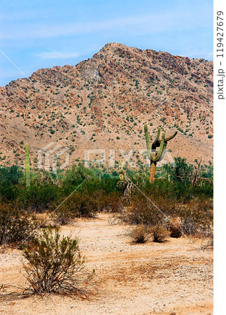 San Tan Mountains Sonora Desert Arizona On Film 119427679