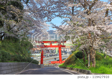 北九州市小倉北区にある篠崎八幡神社参道と朱塗りの鳥居 119427910