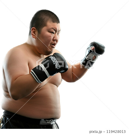 格闘技をする男性 119428013