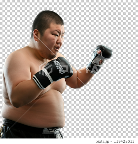 格闘技をする男性 119428013