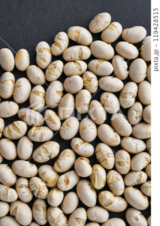 節分豆 節分豆 119428515