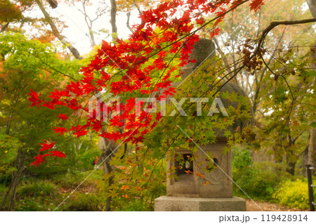 紅葉に彩られた石灯籠 紅葉に彩られた石灯籠 119428914