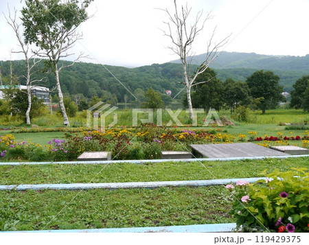 夏の白樺リゾート 119429375