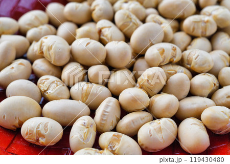 節分豆 節分豆 119430480