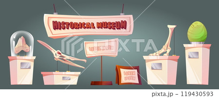 Paleontology museum exhibits set 119430593