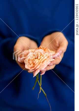 Close-up of a young woman holding a green flower 119430901