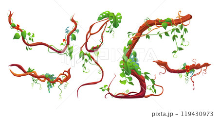 Liana branch with green leaf and flowers. Liana branch with green leaf and flowers. 119430973