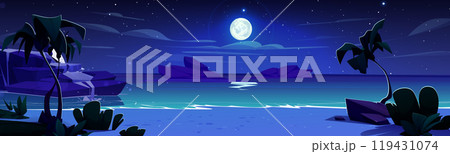 Tropical night seascape with sandy beach 119431074