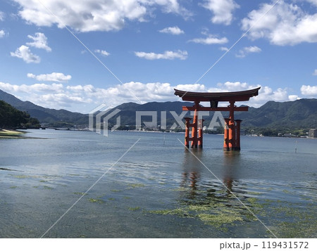遠くから眺める厳島神社の大鳥居 遠くから眺める厳島神社の大鳥居 119431572