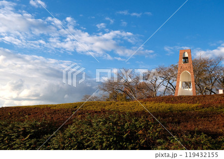 愛知県豊田市_鞍ケ池公園7_2023年12月 119432155