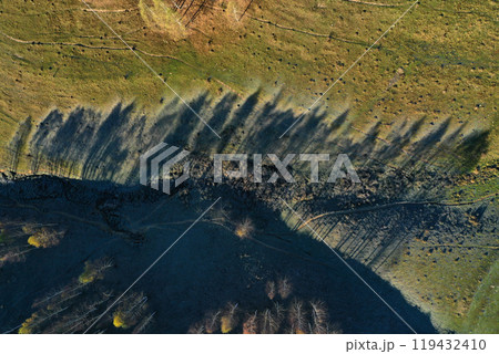 Aerial top down view of autumn trees shadow on green meadow 119432410