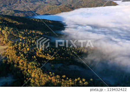 Aerial view of autumn morning mist and clouds in the valley 119432422