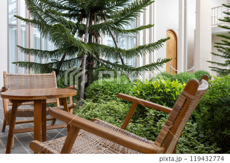 Living rattan chair with pine background, focus selective Living rattan chair with pine background, focus selective 119432774