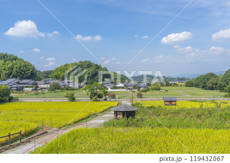 橘寺へ至る参道　稲穂が実り彼岸花が咲き誇る（奈良県明日香村） 119432867