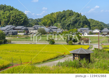 橘寺へ至る参道 稲穂が実り彼岸花が咲き誇る(奈良県明日香村) 橘寺へ至る参道 稲穂が実り彼岸花が咲き誇る(奈良県明日香村) 119432868