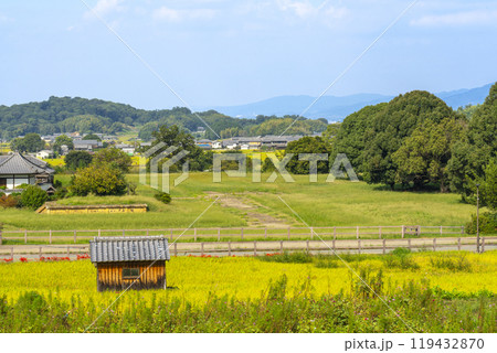 橘寺へ至る参道　稲穂が実り彼岸花が咲き誇る（奈良県明日香村） 119432870