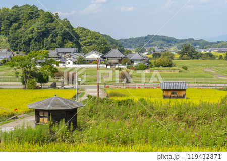 橘寺へ至る参道 稲穂が実り彼岸花が咲き誇る(奈良県明日香村) 橘寺へ至る参道 稲穂が実り彼岸花が咲き誇る(奈良県明日香村) 119432871