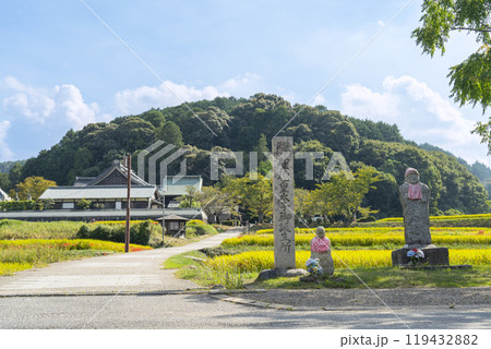 橘寺へ至る参道 聖徳皇太子御誕生所の記念碑(奈良県明日香村) 橘寺へ至る参道 聖徳皇太子御誕生所の記念碑(奈良県明日香村) 119432882