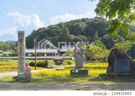 橘寺へ至る参道 聖徳皇太子御誕生所の記念碑(奈良県明日香村) 橘寺へ至る参道 聖徳皇太子御誕生所の記念碑(奈良県明日香村) 119432883