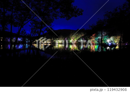 観音沼森林公園　紅葉ライトアップ 119432908