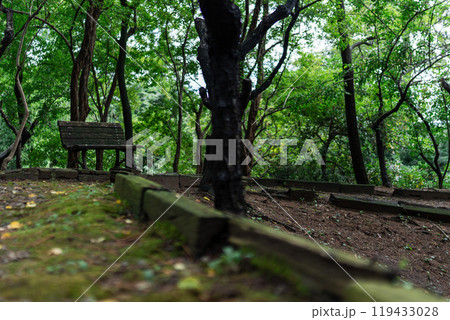 【庄内の風景】山王森梅林_ベンチ 119433028