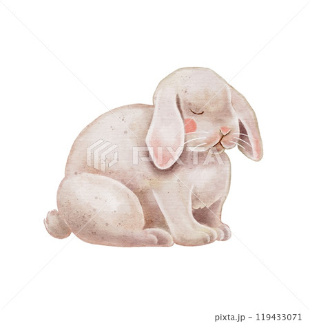 Cute little rabbit isolated element on white. Watercolor illustration in kids style for textile, decoration dishes, children parties, birthday. Cute little rabbit isolated element on white. Watercolor illustration in kids style for textile, decoration dishes, children parties, birthday. 119433071