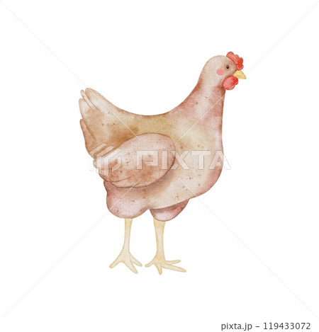 Cute chicken isolated element on white. Watercolor illustration hen in kids style for textile, decoration dishes, children parties, birthday, Easter. Cute chicken isolated element on white. Watercolor illustration hen in kids style for textile, decoration dishes, children parties, birthday, Easter. 119433072