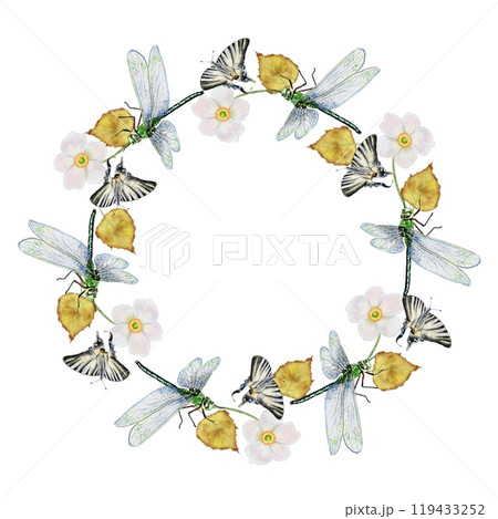A round frame, a wreath, a rim of white anemone flowers, butterflies and dragonflies  119433252