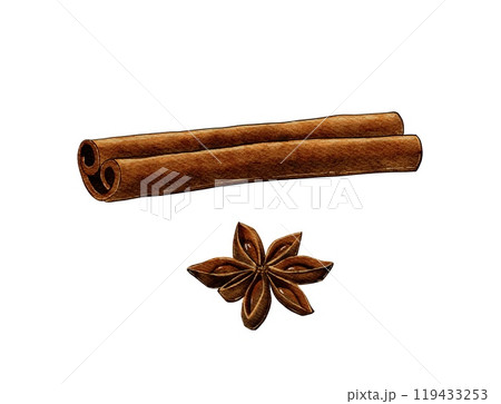 cinnamon and star anise. 119433253
