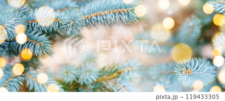 Fir tree branch Fir tree branch 119433305