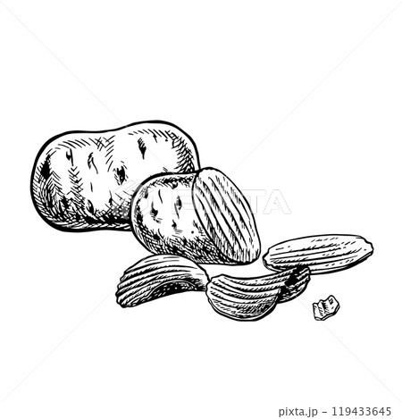 Potatoes and chips. Vector graphics with images of sliced potatoes and chips with fluting. Black and white hand-drawn illustration. On a white background. Great for labels, banners, posters, packages. 119433645