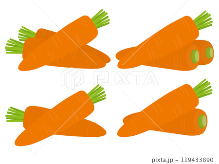 人参を盛り付けたイラストのセット 119433890