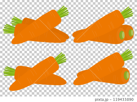 人参を盛り付けたイラストのセット 119433890