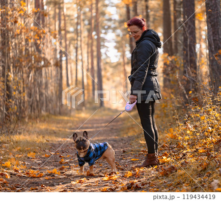 Woman with French bulldog walking in the autumn park. Woman with French bulldog walking in the autumn park. 119434419