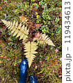 Autumn photo of blue rubber boots in the forest 119434613