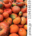 Autumn vertical pumpkin photo background 119434639