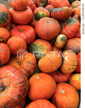 Autumn vertical pumpkin photo background Autumn vertical pumpkin photo background 119434639