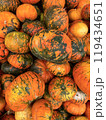 Autumn vertical pumpkin photo background 119434651