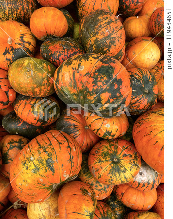 Autumn vertical pumpkin photo background Autumn vertical pumpkin photo background 119434651