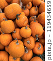 Autumn vertical pumpkin photo background 119434659