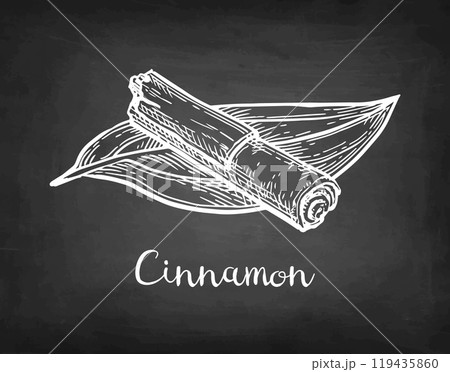 Cinnamon stick chalk sketch. 119435860