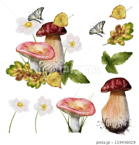 Autumn composition, set of two mushrooms, flowers, leaves and a butterfly 119436029