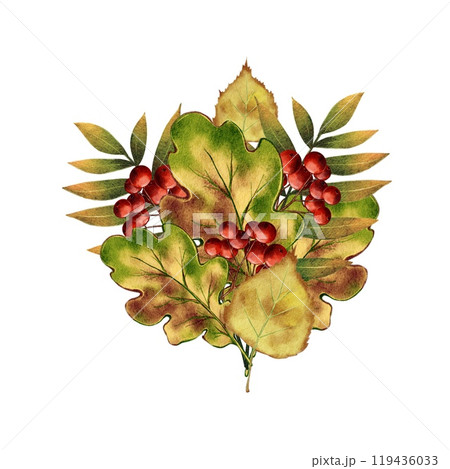Autumn composition, bouquet of leaves and red rowan berries Autumn composition, bouquet of leaves and red rowan berries 119436033