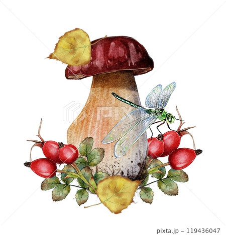 Autumn composition mushroom with rosehip and dragonfly Autumn composition mushroom with rosehip and dragonfly 119436047