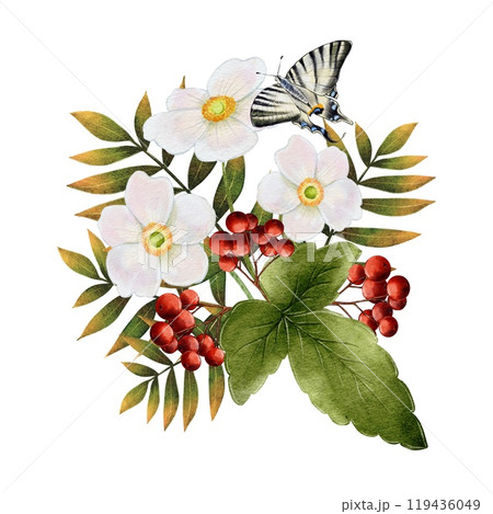 Autumn composition of white flowers with rowan and butterfly Autumn composition of white flowers with rowan and butterfly 119436049