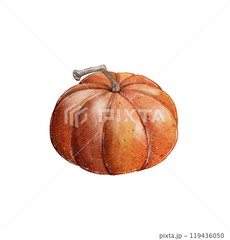 Orange Classic Pumpkin, watercolor illustration Orange Classic Pumpkin, watercolor illustration 119436050
