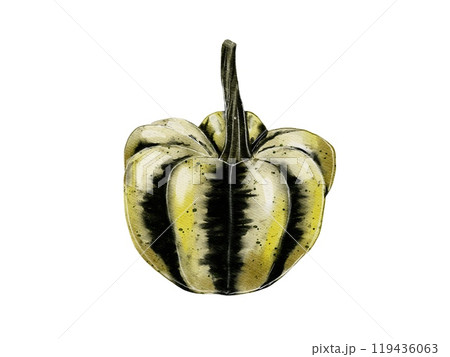 Decorative Mini Pumpkin 119436063