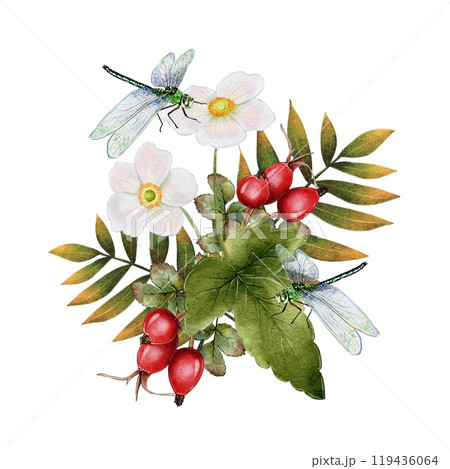 Autumn composition of leaves, flowers, red berries, Briar, rose hip and dragonflies Autumn composition of leaves, flowers, red berries, Briar, rose hip and dragonflies 119436064